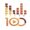 Radio-100